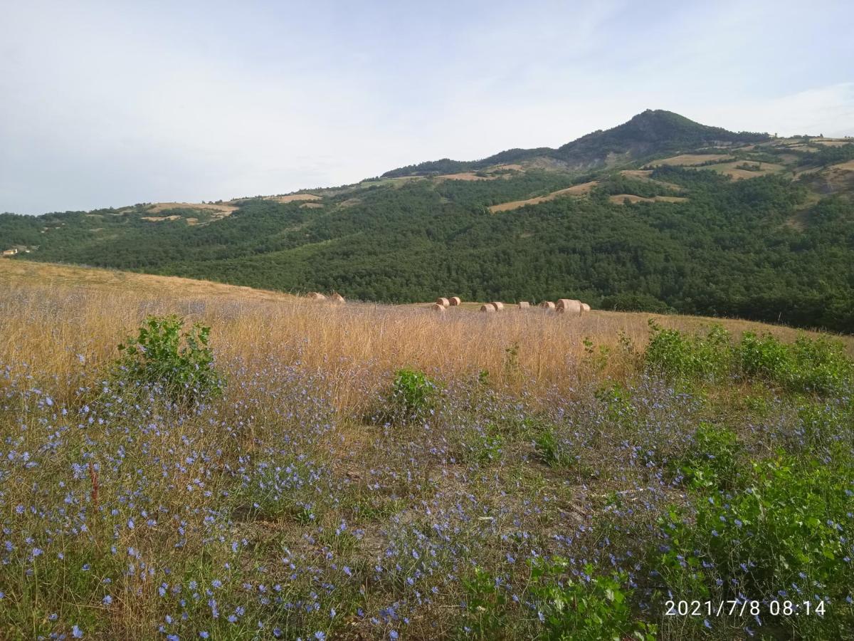 Due Principi E Una Fata Sestola Buitenkant foto